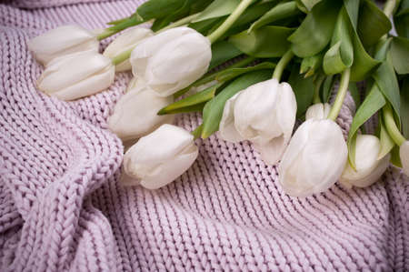 a white tulips bouquet on knitted texture backkgroundの写真素材