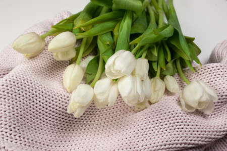 a white tulips bouquet on knitted texture backkgroundの写真素材