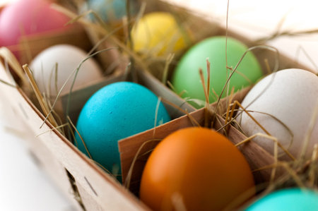 natural pack of ten colorful eggs isolated on white background