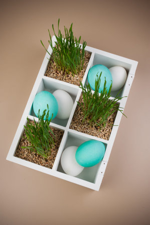 Easter eggs with grass decoration in box  top