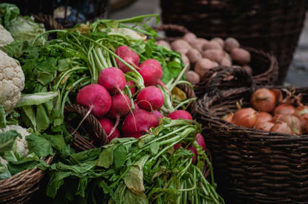 Radishes in a basket, vegetarian food sold at marketの写真素材
