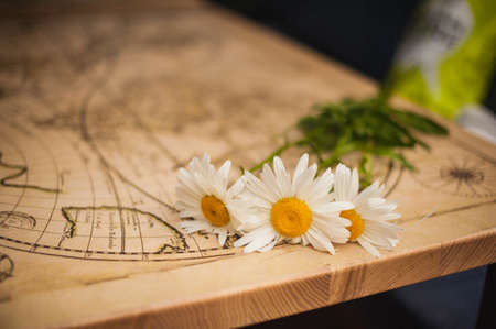 Fresh chamomile  daisy flowers on the wooden tableの写真素材