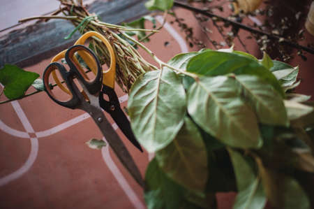 Florist workplace with flowers and accessories on glass tableの写真素材