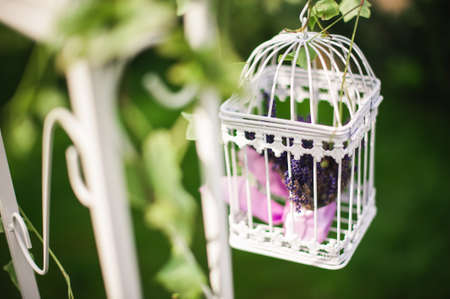 Beautiful decorative cage with beautiful purple flowersの写真素材