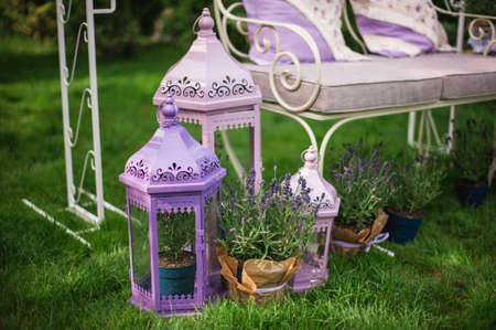 Event decorations decor rustic in purple with flowers, selective and soft focus, seriesの写真素材