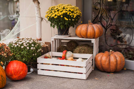 Pumpkins in a wooden box decor in a rustic styleの写真素材