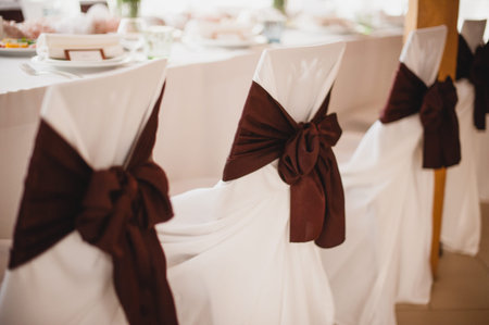 Row of wedding chairs decor  with brown ribbons.