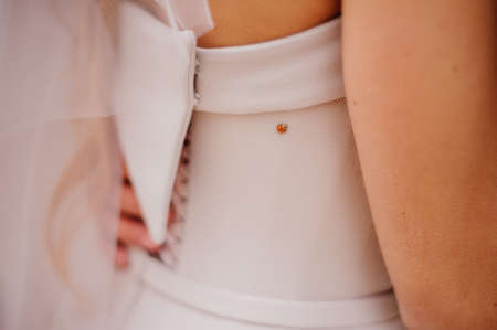Ladybug on back of the  wedding dressの写真素材