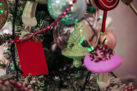 Transparent Christmas ball on beautiful  pine treeの写真素材