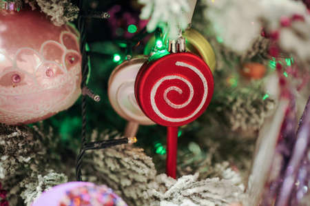 lolly pop christmas tree decor on branchの写真素材
