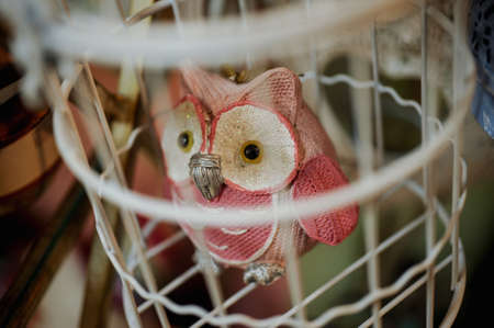 Bird an eagle owl on a cageの写真素材