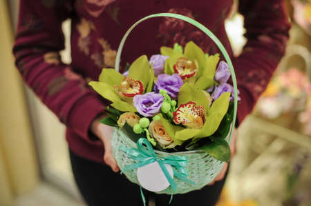 Basket with green orchid flowers. in handsの写真素材