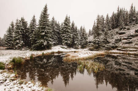 Winter forest reflection on the snowy lakeの写真素材