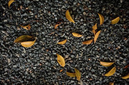 Dry brown leaf on gravel stone texture backgroundの写真素材
