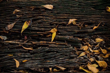 Grungy cracked wooden board by closeup textured background horizontalの写真素材