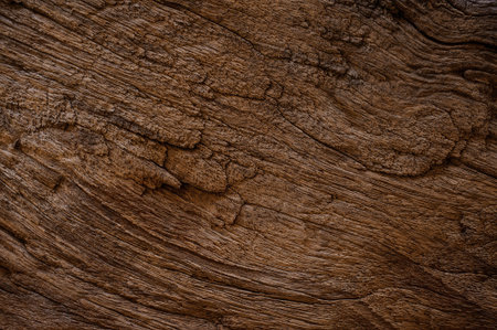 Grungy cracked wood by closeup textured background horizontalの写真素材