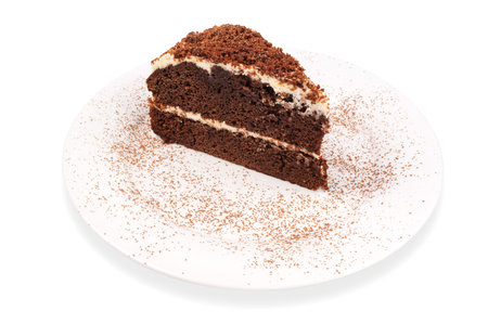 Dark chocolate cake on  plate isolated on white