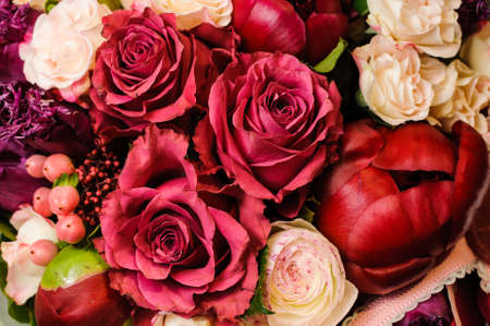 Pink and red flowers background. close upの写真素材
