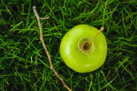Wedding rings on the green apple grass backgroundの写真素材