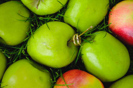 Wedding rings on the green apples grass backgroundの写真素材
