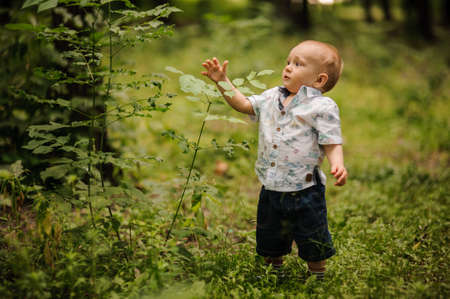 happy little boy playing in the parkの写真素材