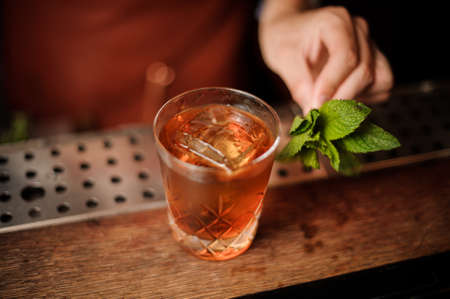 Bartender decorates brown cocktail mint leaves no faceの写真素材