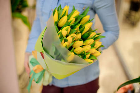 Bunch of yellow tulips in woman handsの写真素材