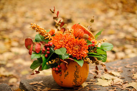 Beautiful pumpkin with a lovely autumn flower composition on the background of yellow fallen leavesの写真素材
