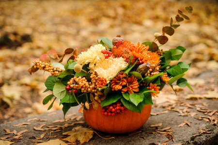 Pretty pumpkin with a lovely autumn flower composition on the background of yellow fallen leavesの写真素材