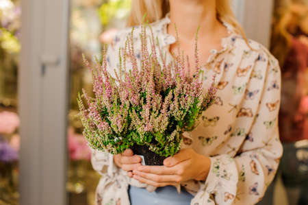 Woman in beautiful shirt holding a pot with blooming flower on the background of flower shopの写真素材