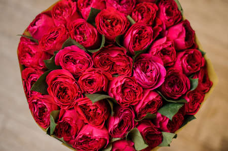round big romantic bouquet of red pion-shaped roses for any case close up and isolatedの写真素材
