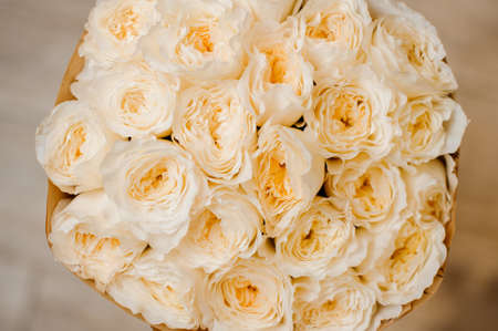 elegant bouquet of roses of beige color close up on white background for any holiday indoorsの写真素材
