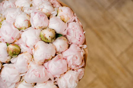 elegant bouquet of a lot of peonies of pink color close up on white background for any holidayの写真素材