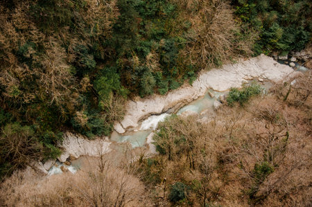 Beautiful top view of a beautiful forest river flowing among yellow and green trees in Georgia