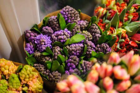 Beautiful and stylish bouquet of bright purple flowers among other colorful flowers in a flower shopの写真素材