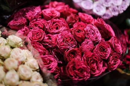 Bouquet of flowers consisting of deep pink peony roses wrapped in a paper in a flower shop