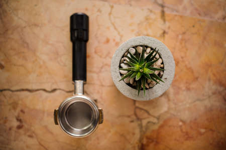 Top view of coffee tamper and concrete pot with an aloe plant arranged on the stone tableの写真素材