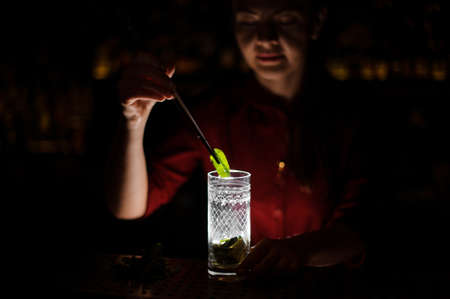 barmaid in a red dress prepares a mojito in a crystal glass, adding leaves of mint against a dark backgroundの写真素材