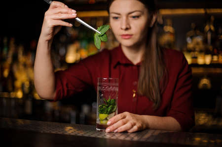 blonde barmaid in a red dress prepares a mojito in a crystal glass, adding leaves of mintの写真素材