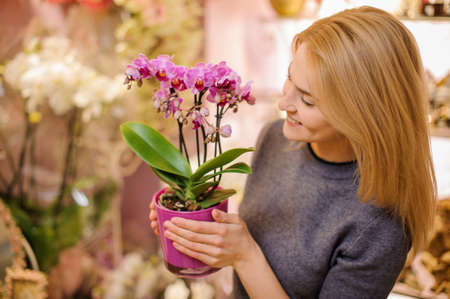 Girl holding in her hands a beautiful little pink orchid with the green leaves in pink potの写真素材