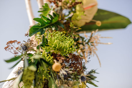 Close up wedding arch decorated with fresh green tropical flowers on the background of skyの写真素材