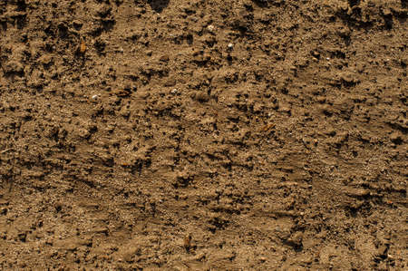 Textured close up top view background of wet brown river sand with little grey stones natural debrisの写真素材