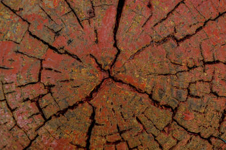Close up macrophotography texture of an old brown painted stump with a lot of cracksの写真素材
