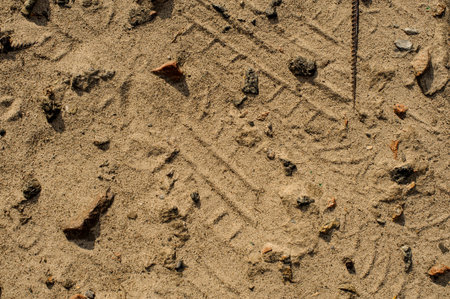 Sand and stones background and texture. Tire trace on sand