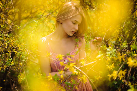 Young blonde girl, dressed in a checked dress, standing between branches of yellow blossom tree and looking downの写真素材