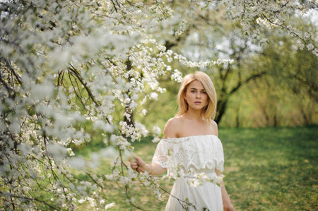 Beautiful blonde girl, dressed in a white dress with a open shoulders, standing between branches of white blossom treeの写真素材
