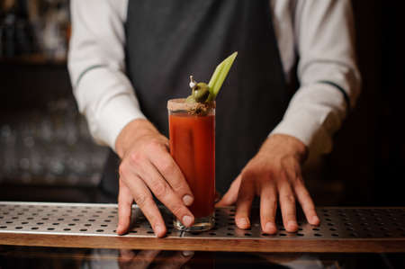 Bartender in the white shirt and dark apron serving a bloody mary cocktail with two olives and celery on the bar counterの写真素材