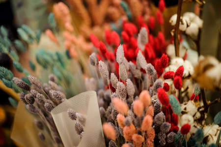 Bright autumn bouquets of colorful dried earsの写真素材