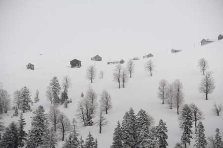 Beautiful winter landscape of snow covered hills with trees on the popular tourist resort in Goderzi, Georgiaの写真素材