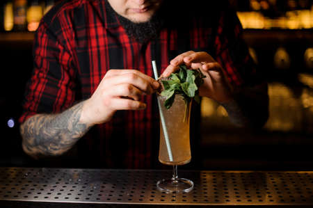 Tattooed barman decorating tasty Sherry Cobbler drink in a cocktail glass with mint leaves on the bar counterの写真素材